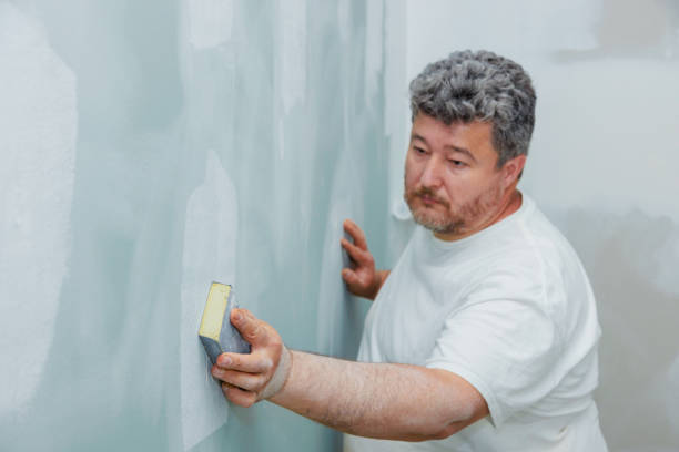 Best Wallpaper Removal and Painting  in Bellevle, IL